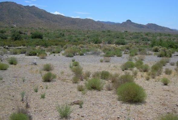 1-Acre Agricultural Land for Sale in Meadview, AZ - $75/mo Owner Financing