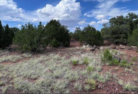 2 Acres for Sale in Concho, Arizona