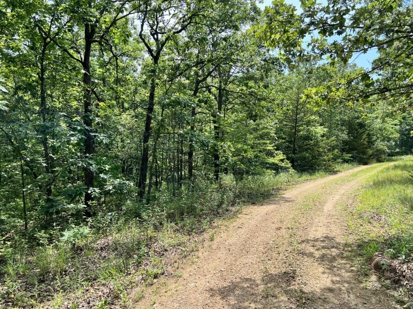 0.12 Acres for Sale in Lincoln, MO