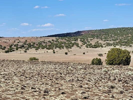 1.27 Acres for Sale in Concho, Arizona