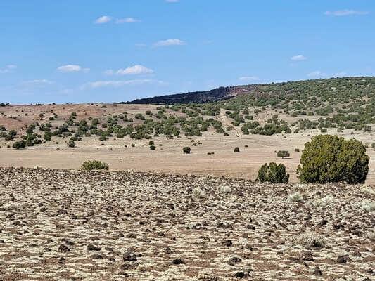  1.27 Acres for Sale in Concho, Arizona