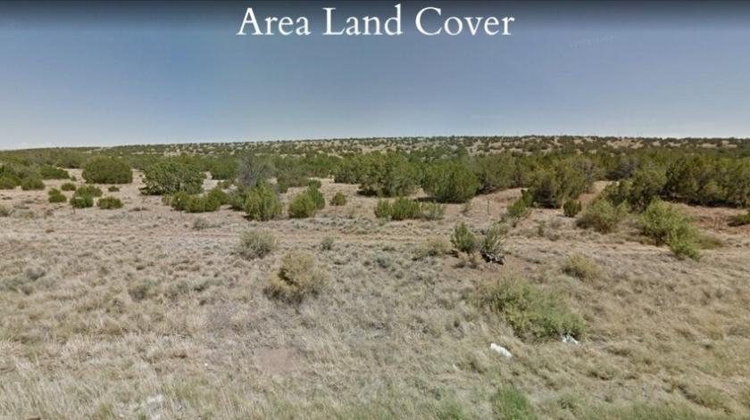 1.07 Acres for Sale in Concho, AZ