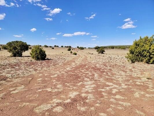 1.04 Acres for Sale in Concho, AZ