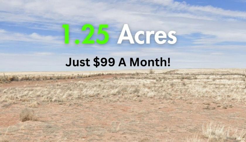 1.25 Acres for Sale in Holbrook, AZ