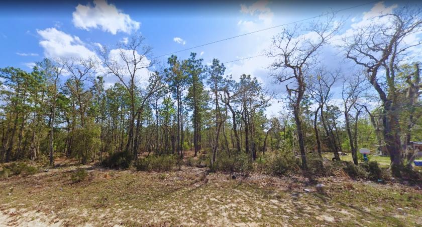 0.23 Acres for Sale in Interlachen, Florida