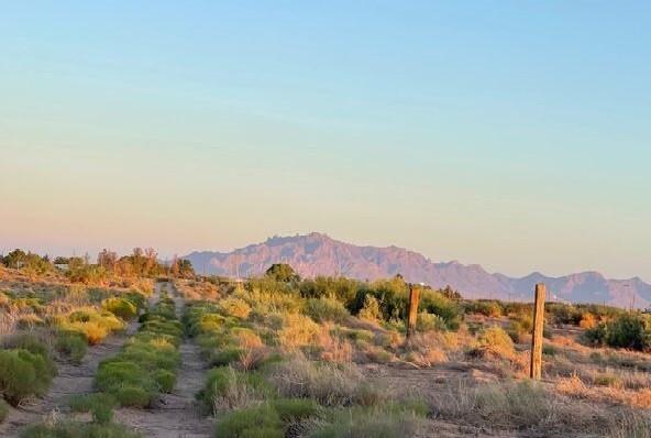 0.5 Acres for Sale in Deming, New Mexico