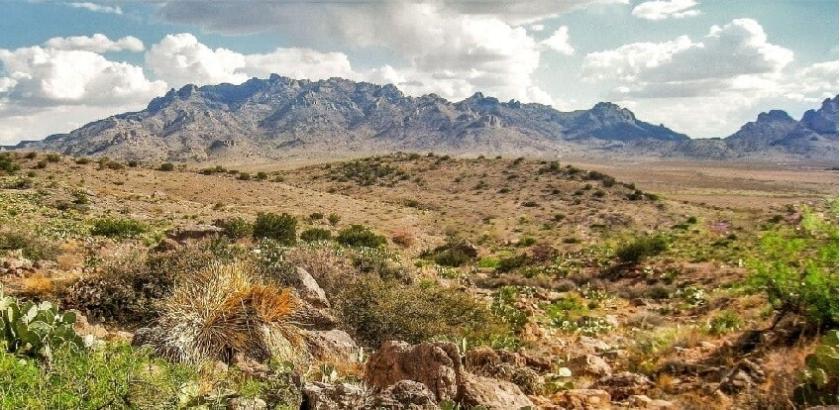 0.25 Acres for Sale in El Cerro-Monterey Park, New Mexico