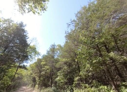 0.46 Acres for Sale in Diamond City, AR