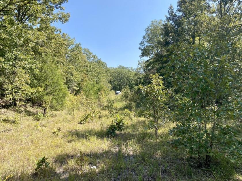 0.35 Acres for Sale in Horseshoe Bend, Arkansas