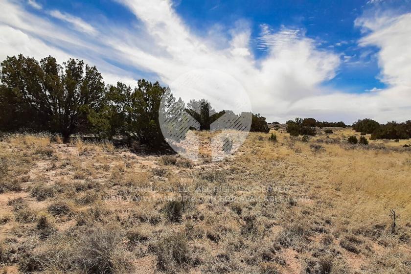 1.06 Acres for Sale in Sanders, Arizona