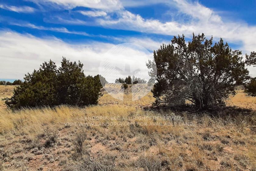 1.06 Acres for Sale in Sanders, Arizona