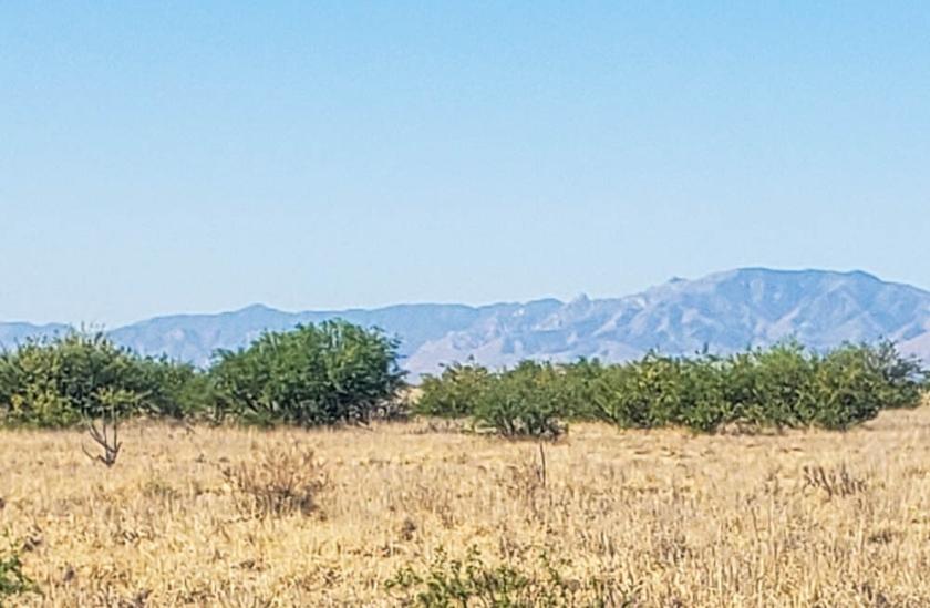 0.25 Acres for Sale in Willcox, Arizona