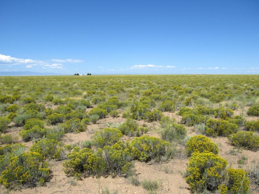  6.19 Acres for Sale in Blanca, Colorado