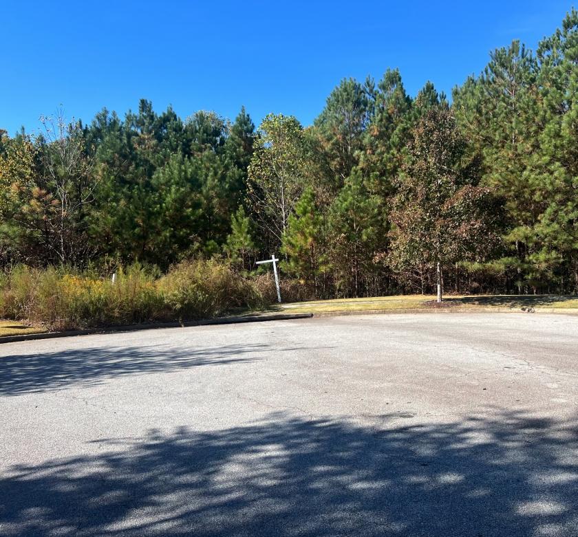 0.54 Acres for Sale in Buford, GA