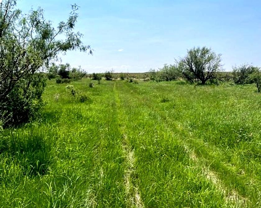 10 Acres for Sale in Dell, TX