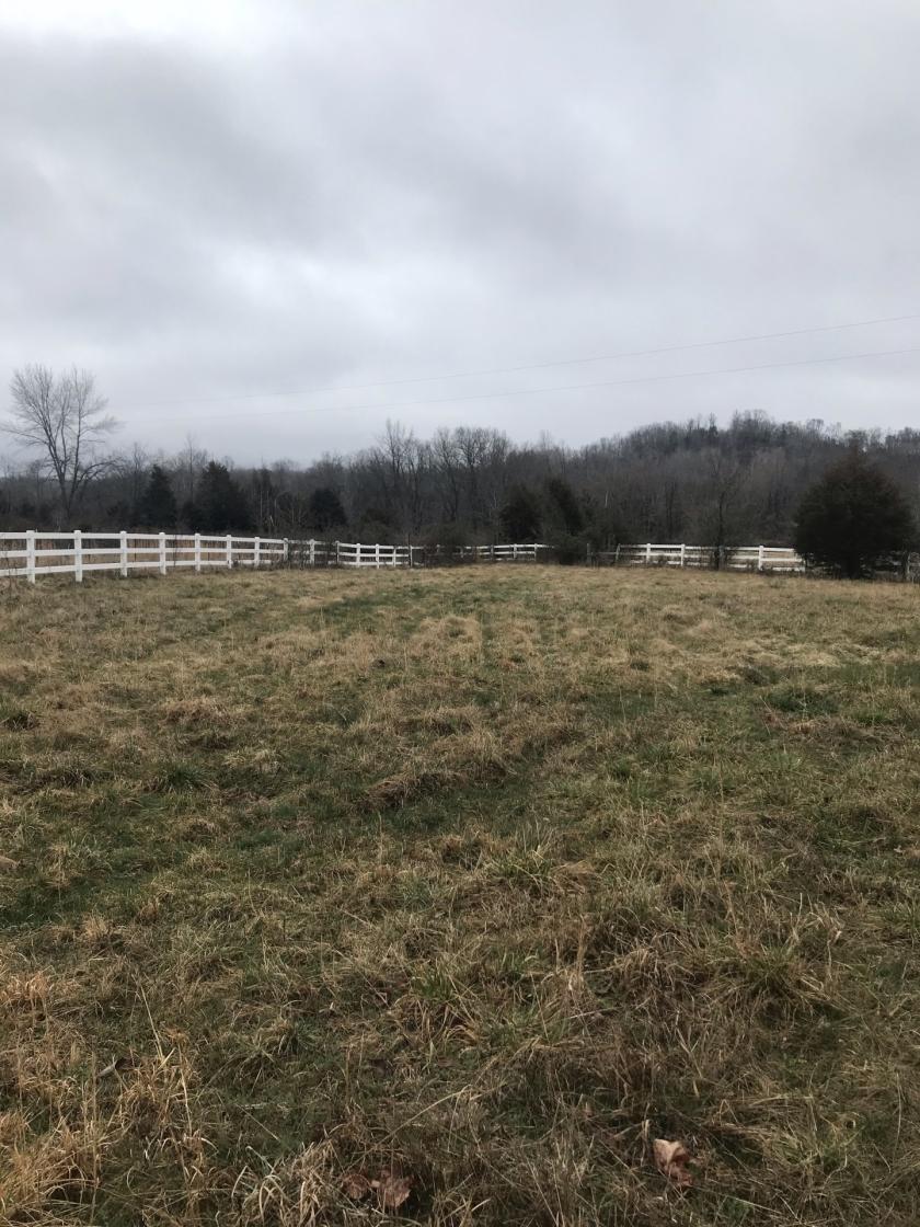 77.8 Acres for Sale in Waverly, TN