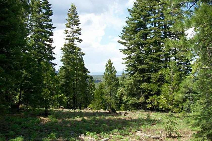 0.99 Acres for Sale in Alturas, CA