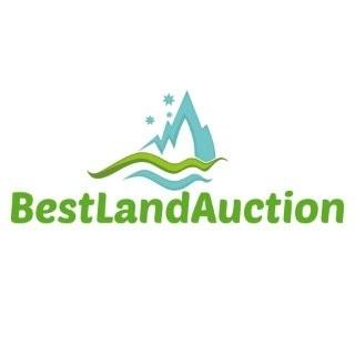 Auction Information
