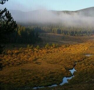 Discovery Acreages LLC