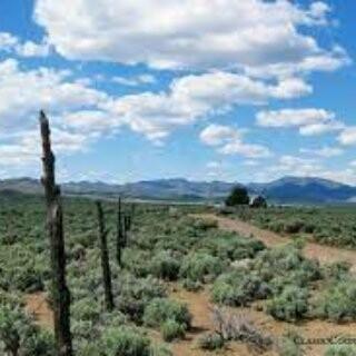 LandGuyUSA.com