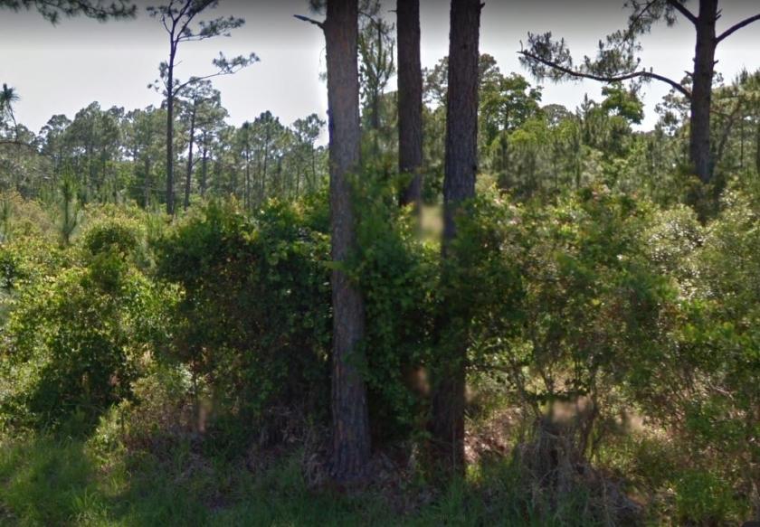 0.17 Acres for Sale in Pensacola, Florida