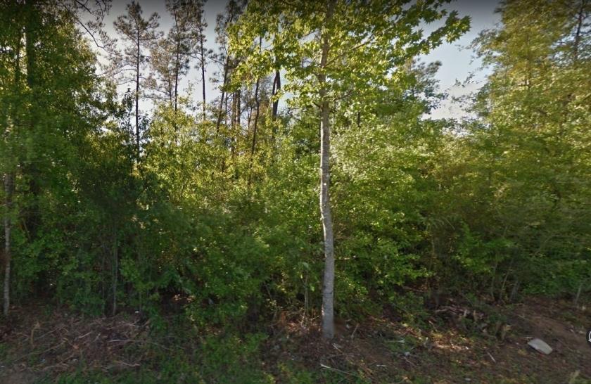  0.14 Acres for Sale in Molino, Florida