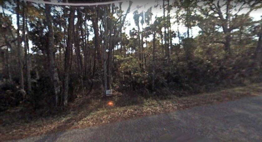 2.26 Acres for Sale in Pierson, Florida