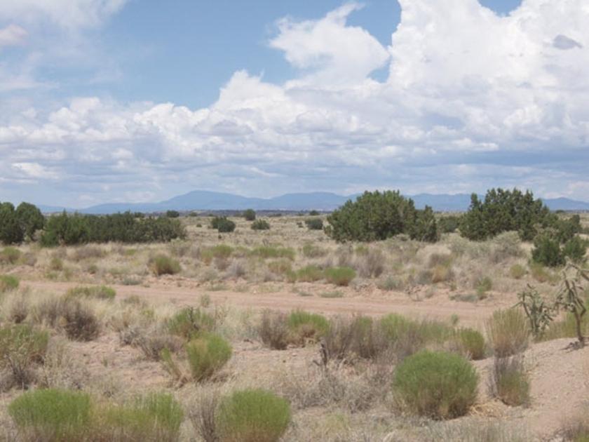 38.4 Acres for Sale in Model, Colorado