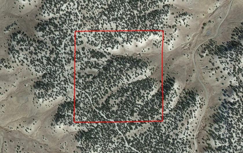  40.45 Acres for Sale in Model, Colorado