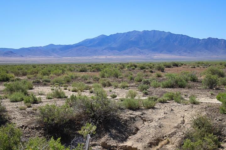  40 Acres for Sale in Imlay, Nevada