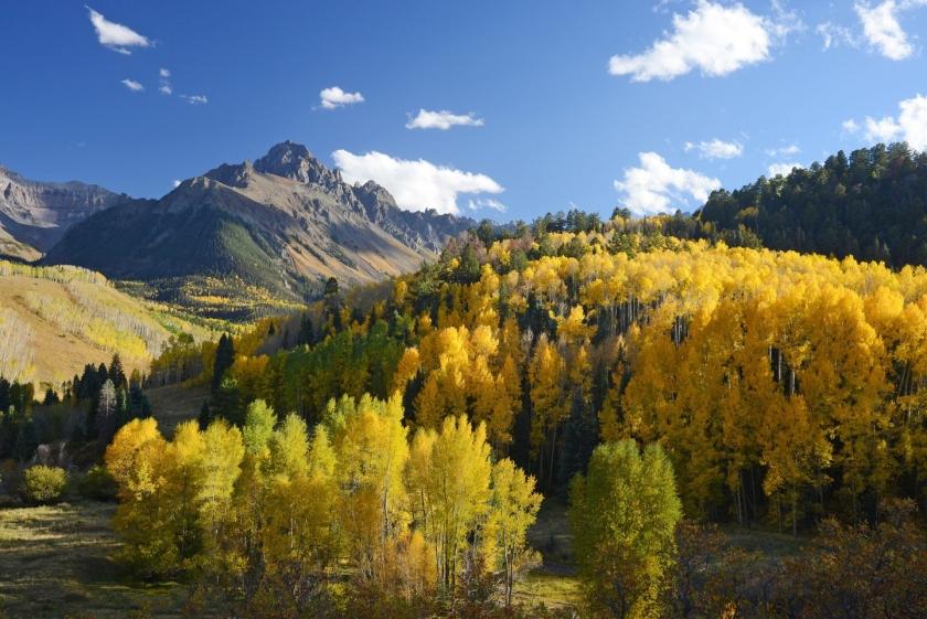 35.1 Acres for Sale in Model, Colorado