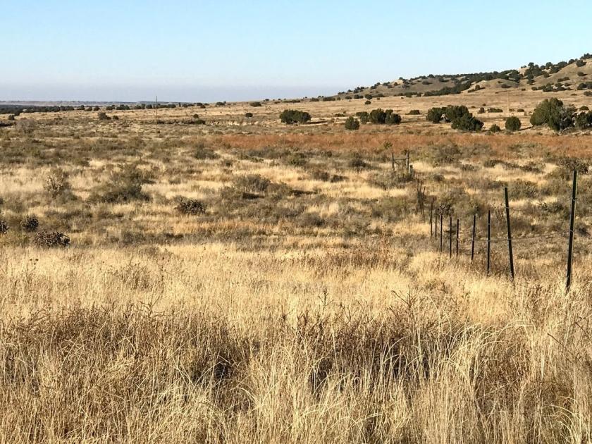 40 Acres for Sale in Model, Colorado