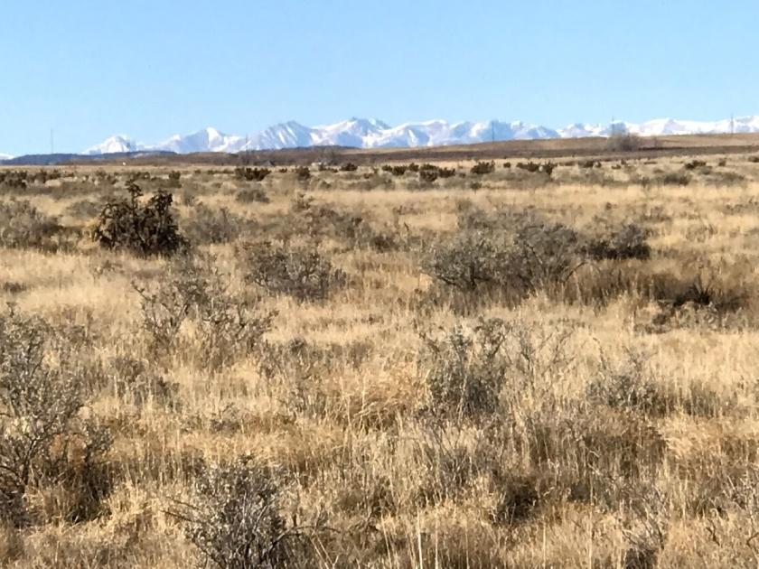 40 Acres for Sale in Model, Colorado