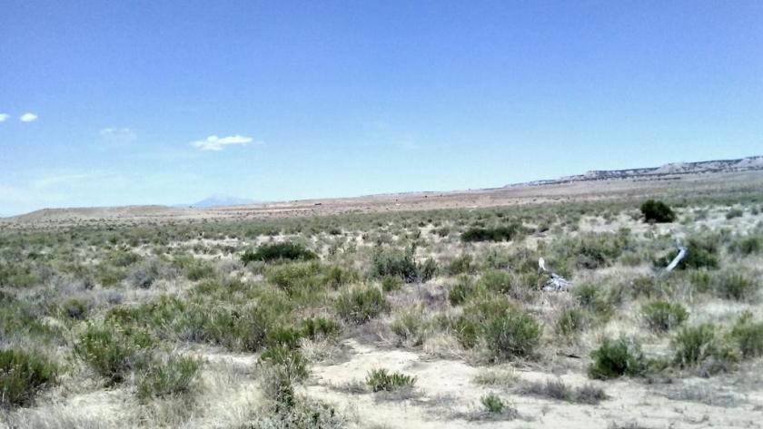 40 Acres for Sale in Model, Colorado
