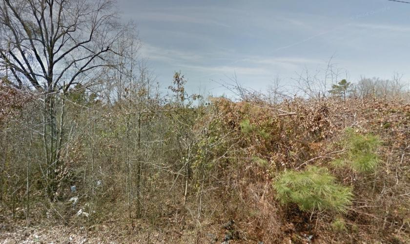  0.11 Acres for Sale in Pine Bluff, Arkansas