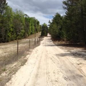 2.5 Acres for Sale in Crescent City, Florida