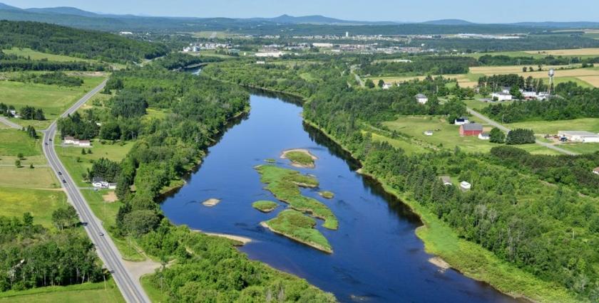  67.6 Acres for Sale in Washburn, Maine