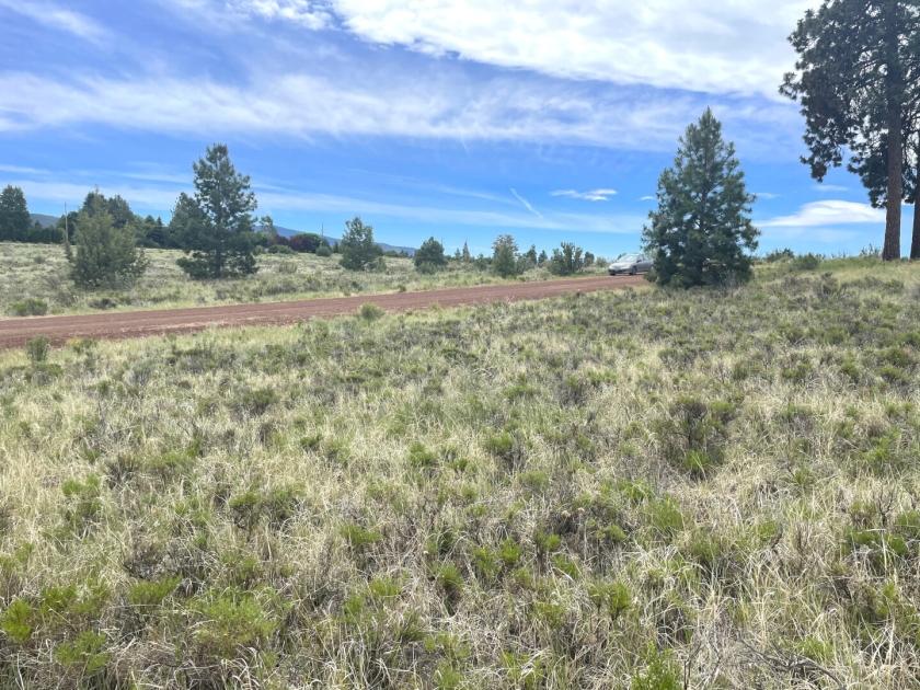  -1 Acres for Sale in Chiloquin, Oregon
