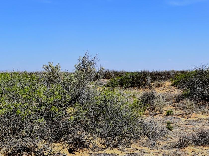1 Acres for Sale in El Paso, Texas