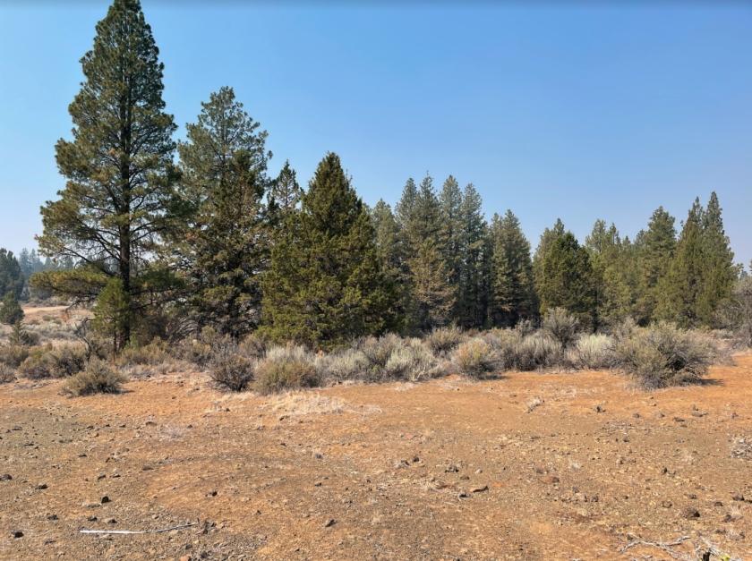 2.4 Acres for Sale in Sprague River, OR