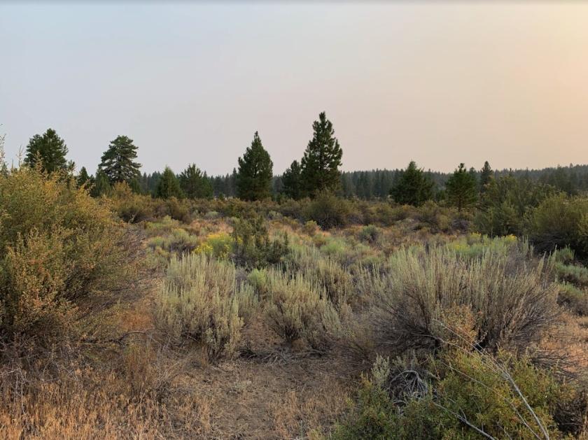 2.2 Acres for Sale in Bonanza, OR