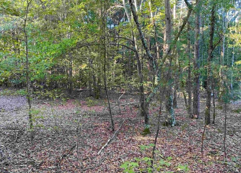 3.45 Acres for Sale in Boiling Springs, SC