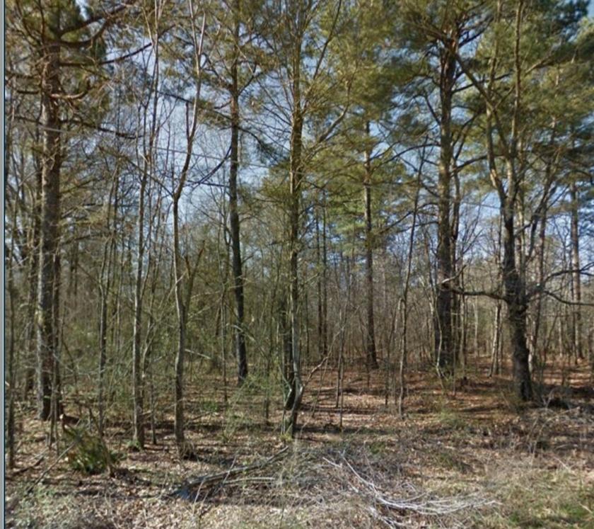 0.21 Acres for Sale in Pine Bluff, AR