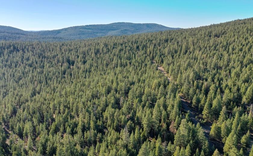 1 Acre for Sale in Alturas, CA