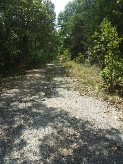 0.22 Acres for Sale in Briarcliff, AR