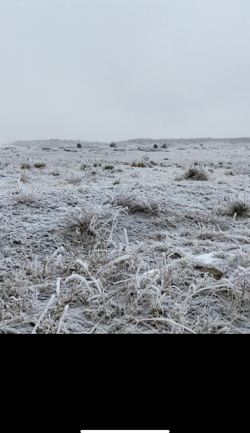 0.22 Acres for Sale in Colorado City, CO