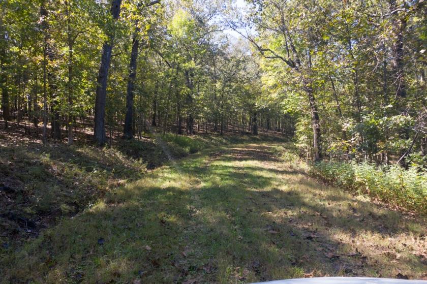 6 Acres for Sale in Edwards, MO