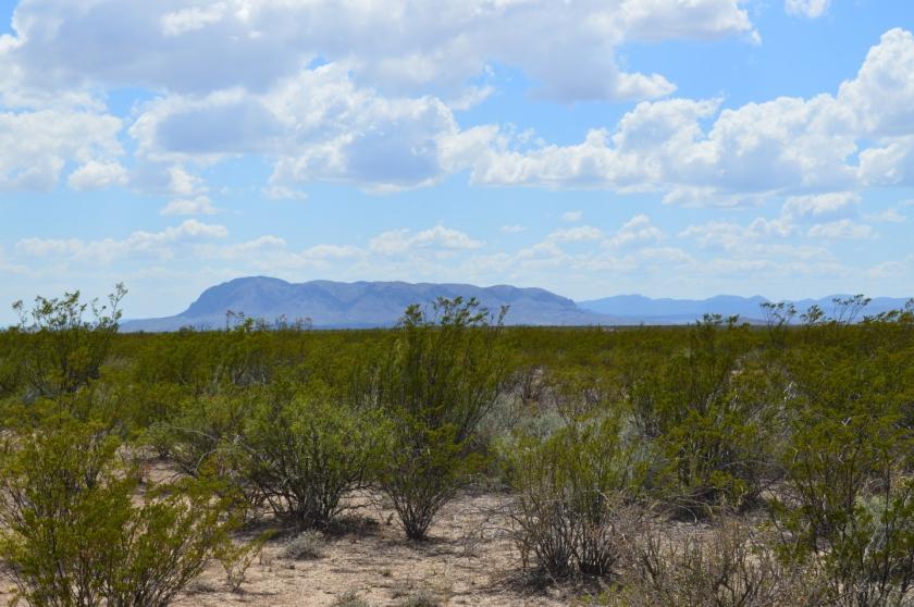 20.6 Acres for Sale in Alpine, TX