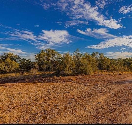 0.95 Acres for Sale in Concho, Arizona