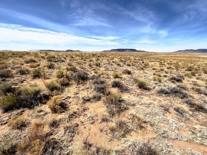 5-Acre Residential Land for Sale in Sanford, CO - $249 Down, $194/mo Owner Financing